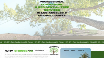 jayson-trees6808325354285770396.webp